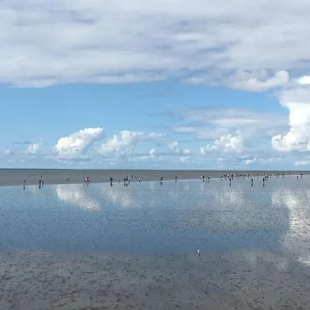 With Sauna In A Location Appartamento